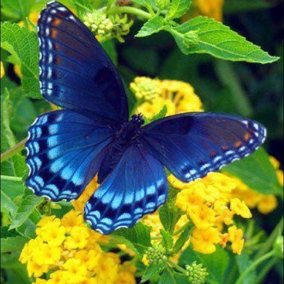 Meet your Posher, Meg - Picture 8 of 16